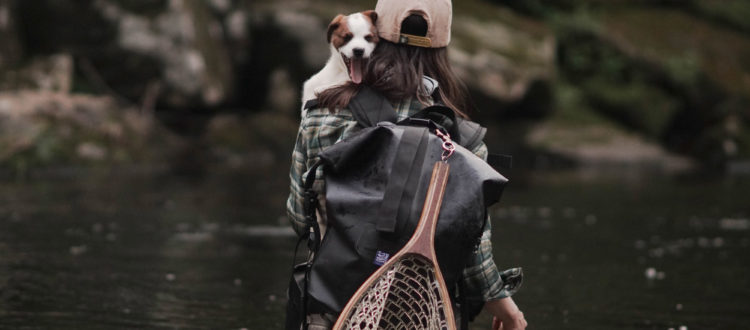 Water adventures with your dog