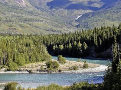 The Yukon River with mountain peaks and pines