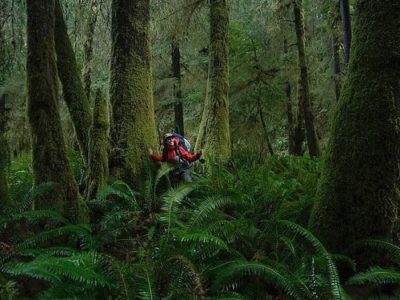 Photo by Jennah Stillman. Women in the midst of a lush, green forest