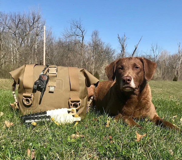 Dog laying next to a Watershed Drybag with a GPS attached to the bag