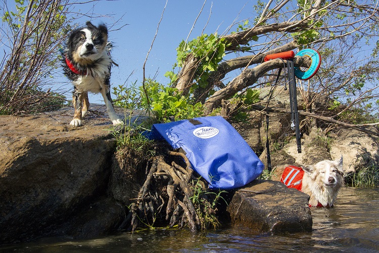 Dog shaking off water next to the Big Creek Backpack