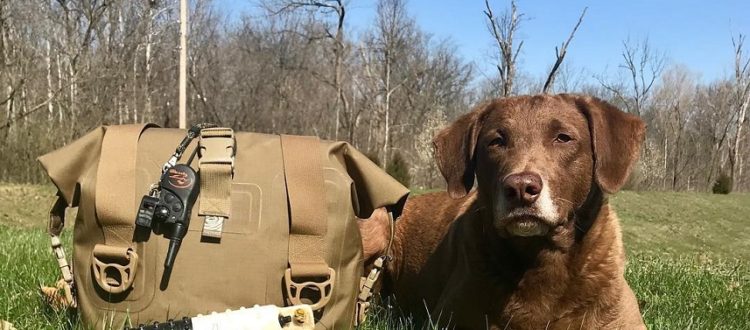 Dog sitting next to a Watershed Drybag in the lawn